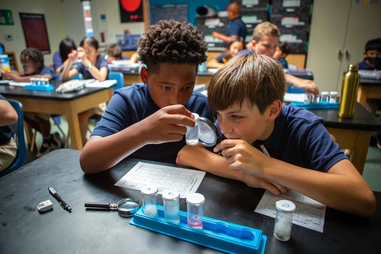 Future-focused Accelerated curricula