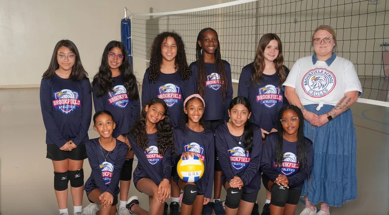 Volleyball