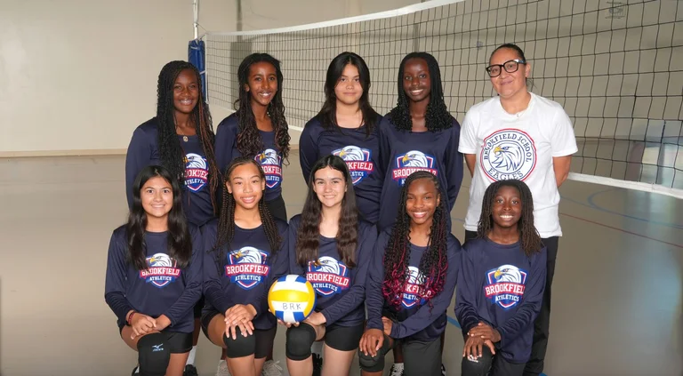 Volleyball